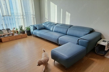 Sofa văng phòng khách hiện đại chữ I SOFAZ-SFV10